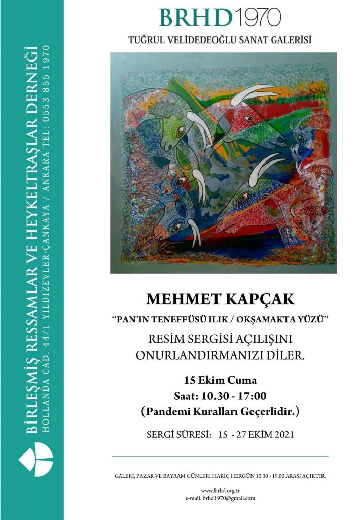 Mehmet Kapçak sergi afişi
