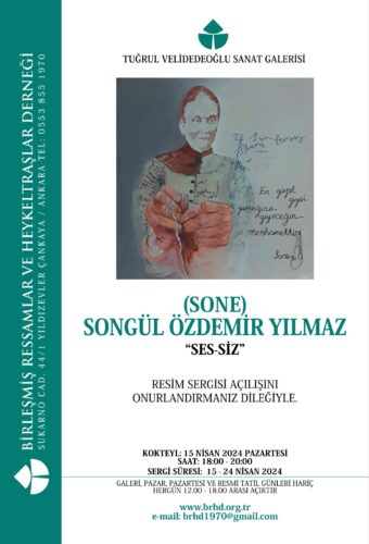 Songul Özdemir Yılmaz brhd sergi afişi