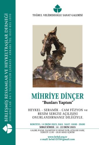 Mihriye Dinçer brhd afiş