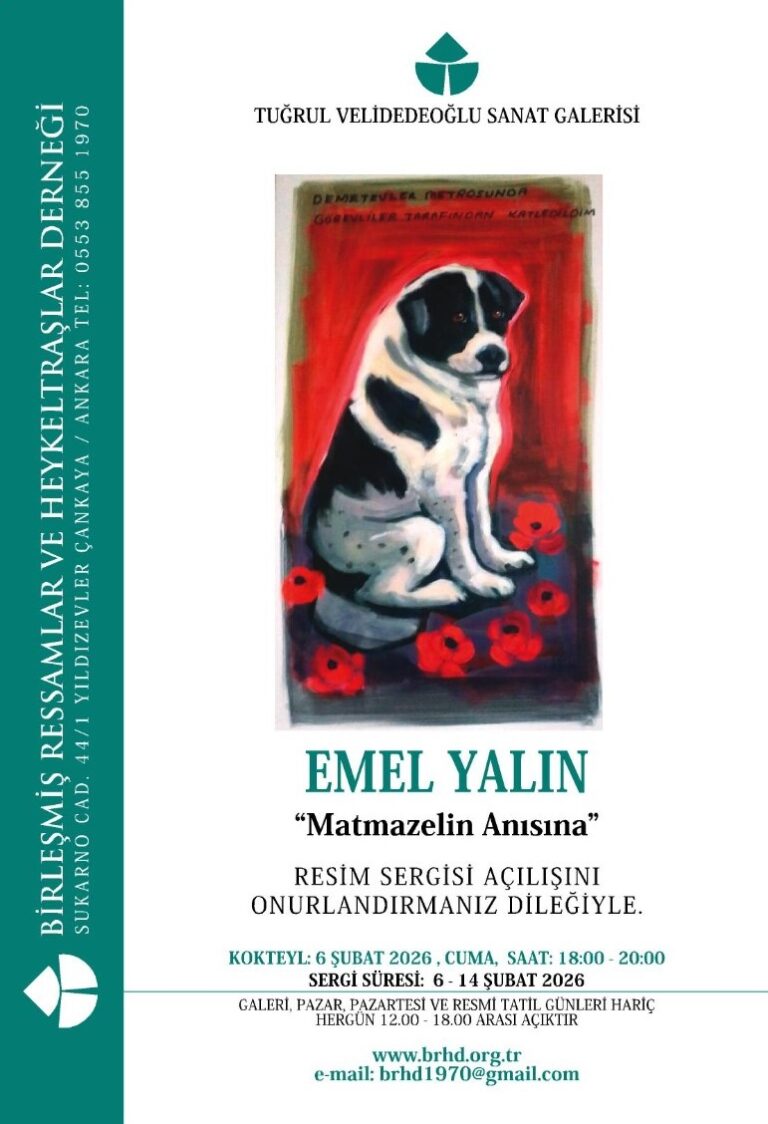 Emel Yalın brhd serfi afişi